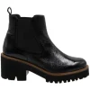 Cervone ankle boots 3301 Black