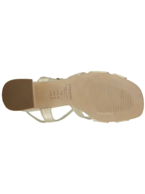 Cervone pumps 2365 Gold