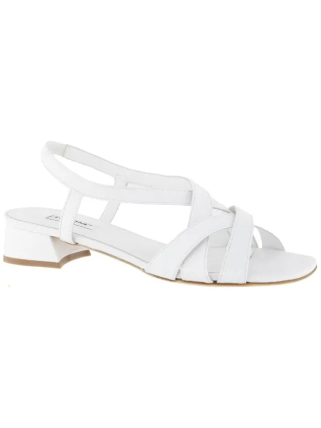 cervone_sandals__white_0-2.webp Cervone sandals 2377 White