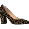 Dyva pumps 5820 Cognac