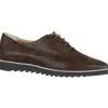 Evaluna loafers 195L Brown