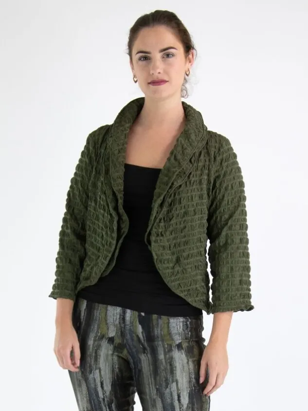 joseph_ribkoff_vests__gre_1.webp Joseph Ribkoff vests 243084 Green