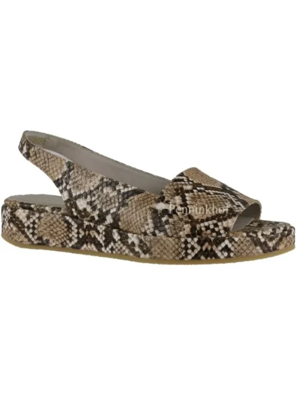 Panara sandals P21090 Camel