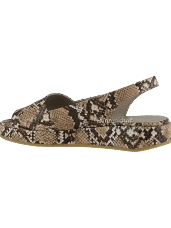 Panara sandals P21090 Camel
