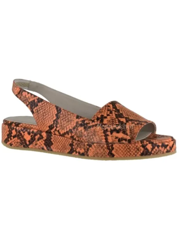 Panara sandals P21090 Orange