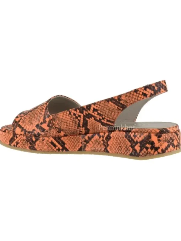 Panara sandals P21090 Orange