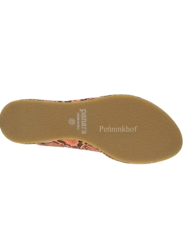 panara_sandals_p_orange_3.webp Panara sandals P21090 Orange